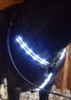 Rechargeable -Flashing Horse Breastplate